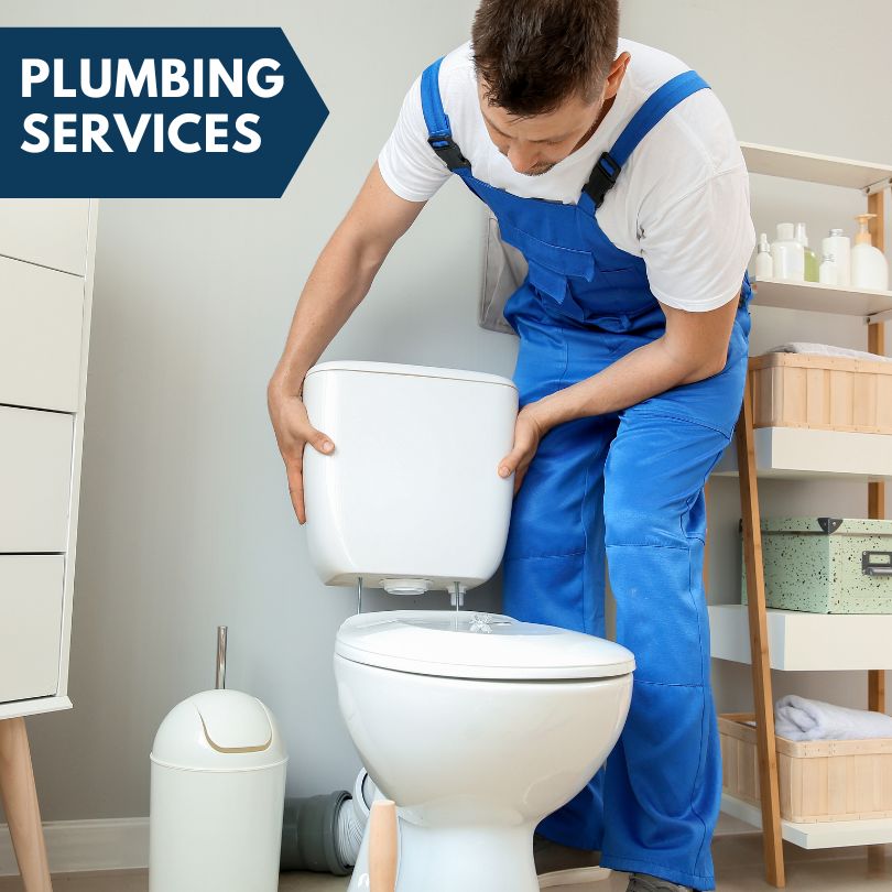 Plumbing Company in Colesburg, IA